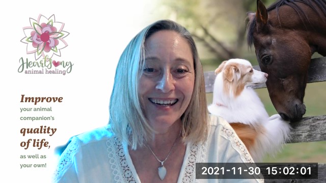 Heartsong Animal Healing Overview 2021 Thumbnail