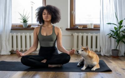 Meditating with your Animal Companions