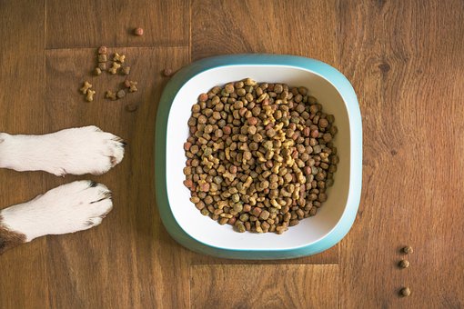 Dogs and Kibble!  Buyer Beware!