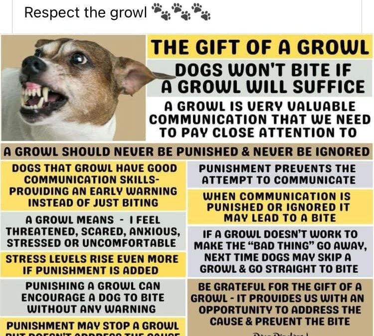 Benefits of the Growl!